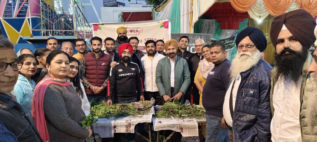 Annual Flower Distribution