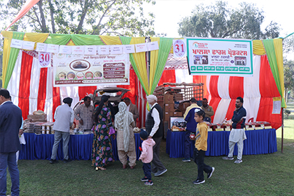 Food-Shop-In-Bathinda-Flower-Festival